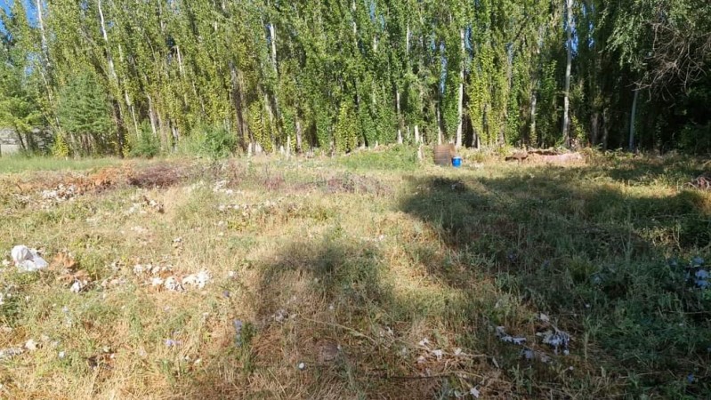 Terreno en Ciudad de  Allen (Loteo Las Rosas).