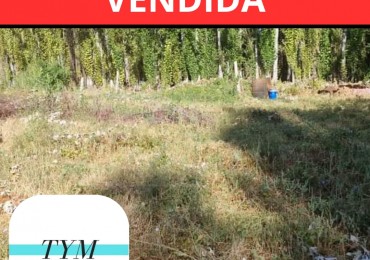 Terreno en Ciudad de  Allen (Loteo Las Rosas).